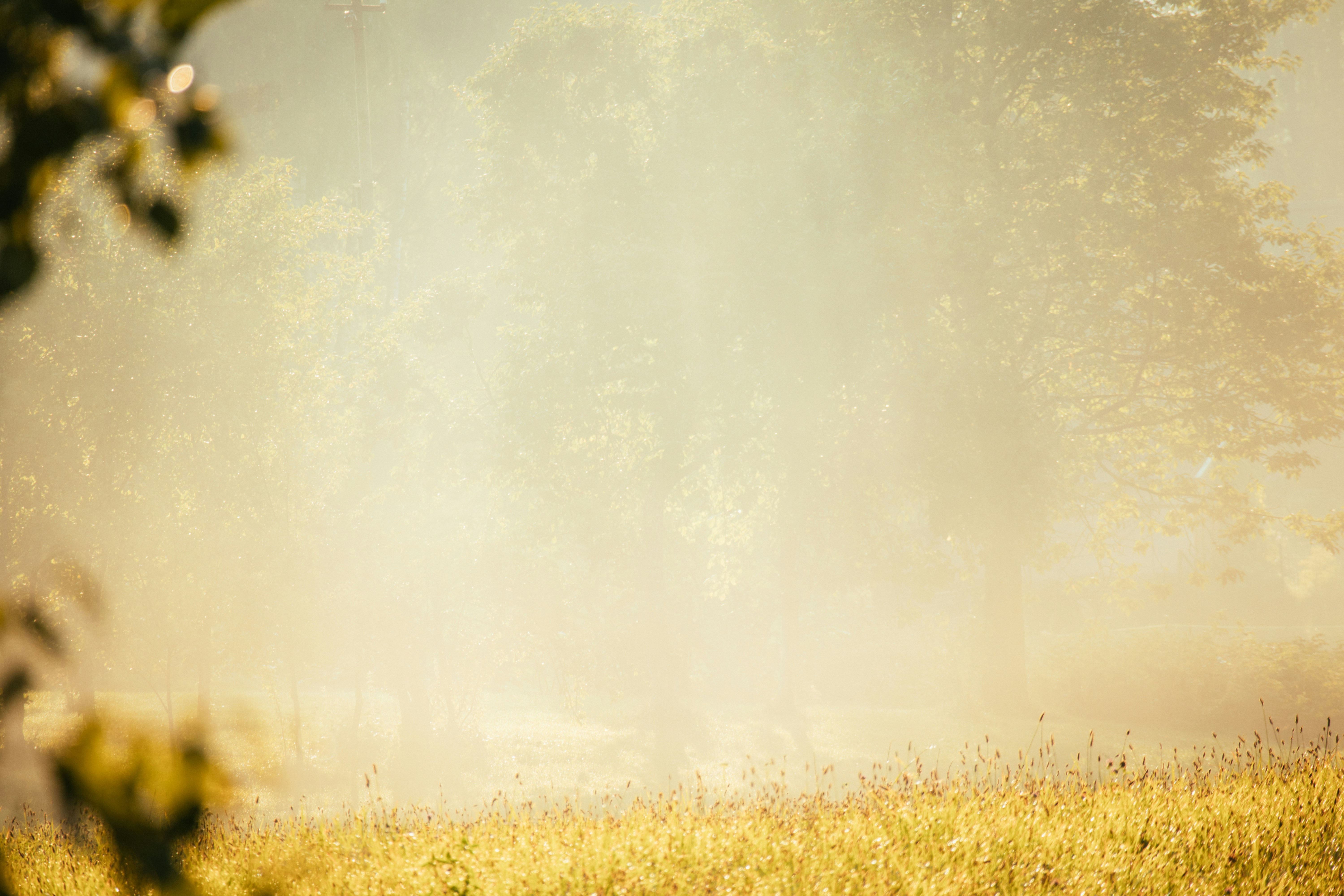 photo-1691595430370-5a42d1f6ec30?ixid=M3wxMjA3fDB8MXxzZWFyY2h8MTR8fGhpZ2hzdGFrZXMlMjBzd2VlcHN8ZW58MHx8fHwxNzQ5NzgxMDA0fDA\u0026ixlib=rb-4.1.0