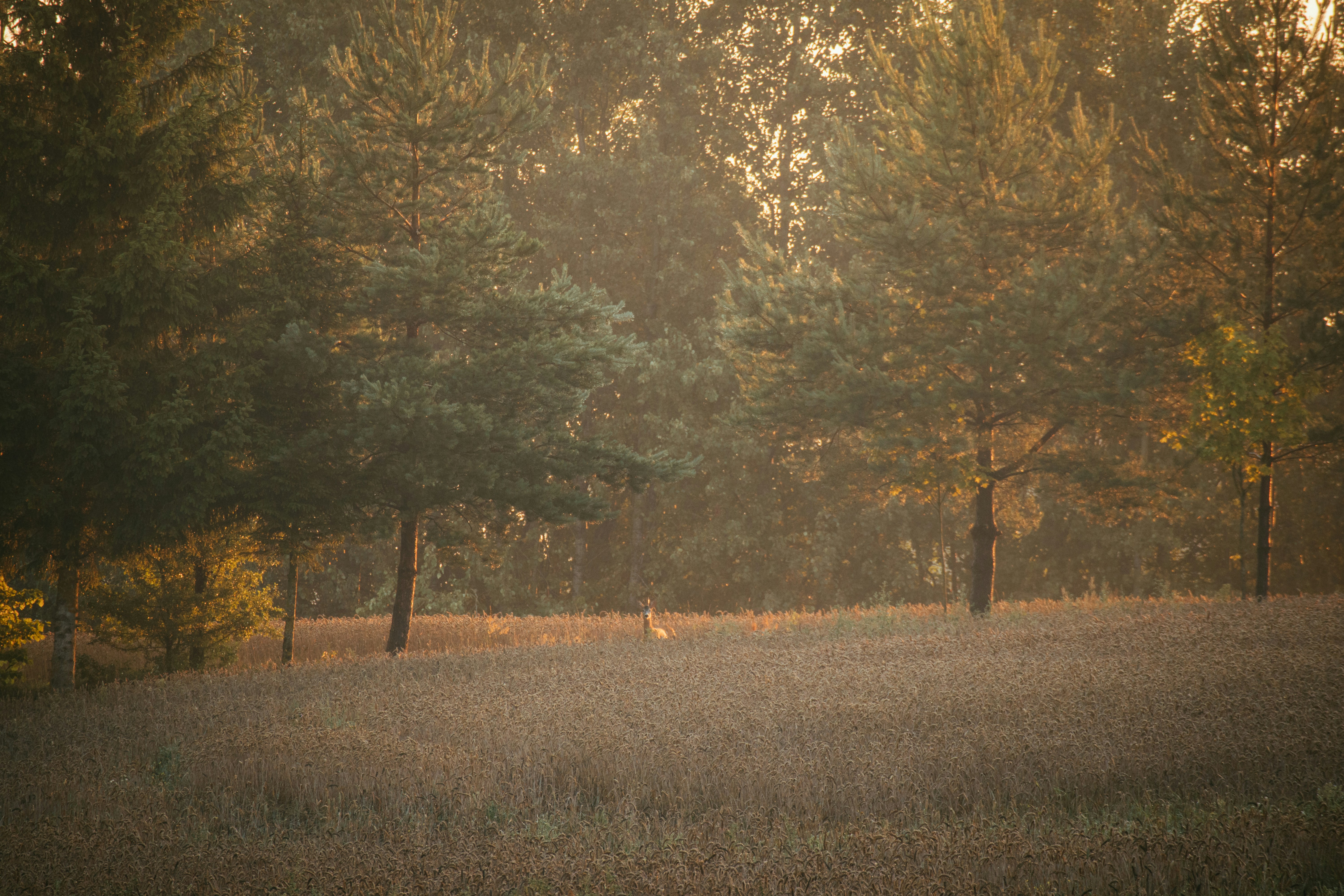 Photo by kubliz