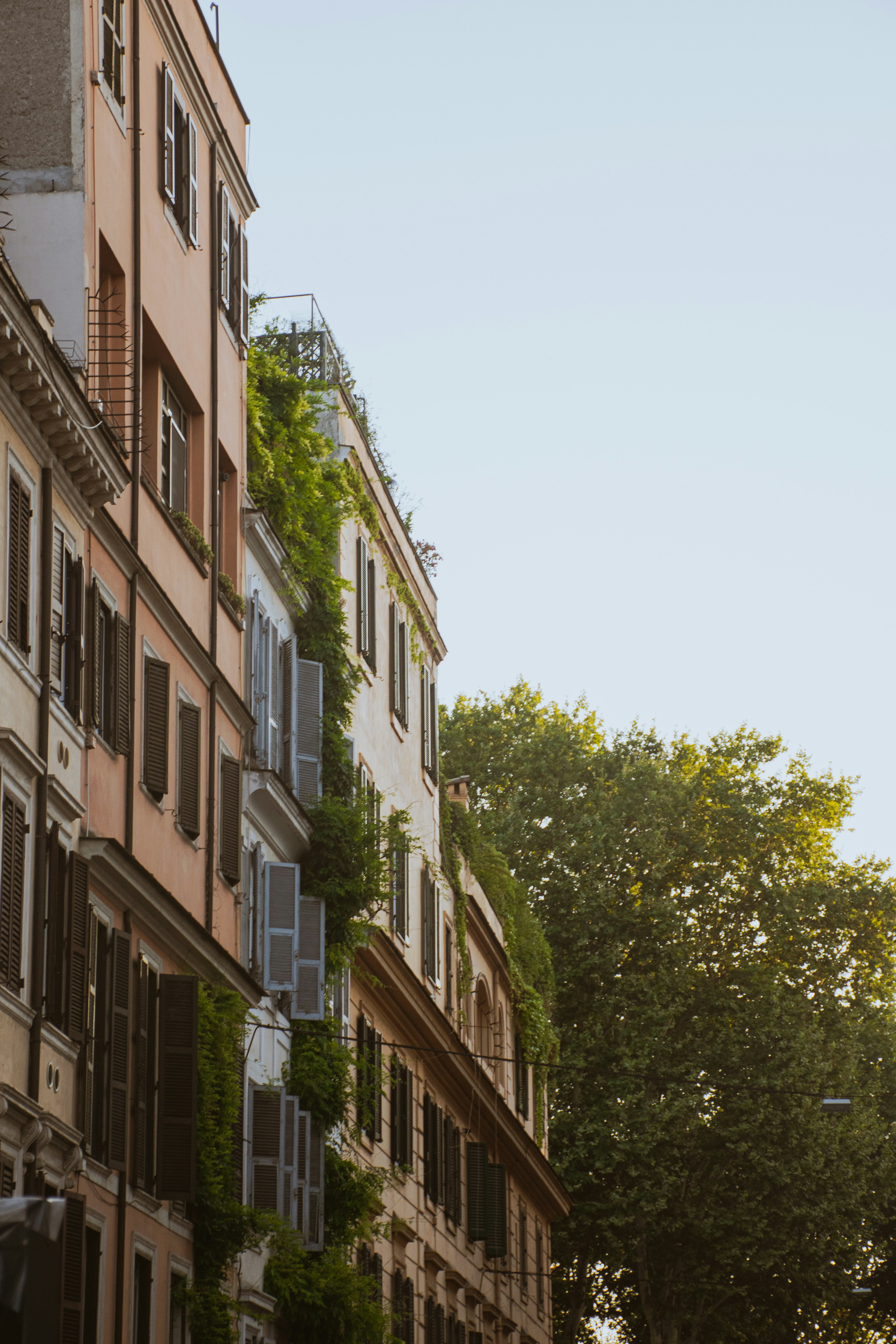 Photo by wheresalina