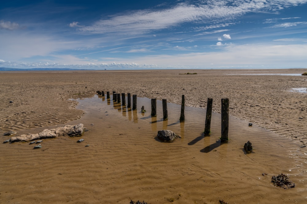 Una fila di pali di legno che spuntano dalla sabbia