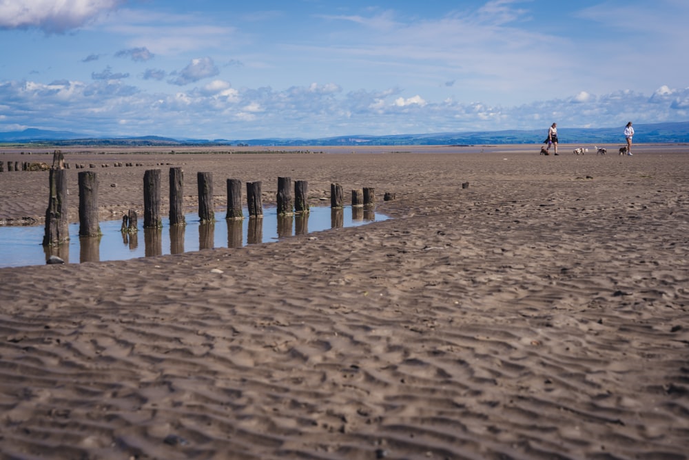 a group of people standing on top of a sandy beach