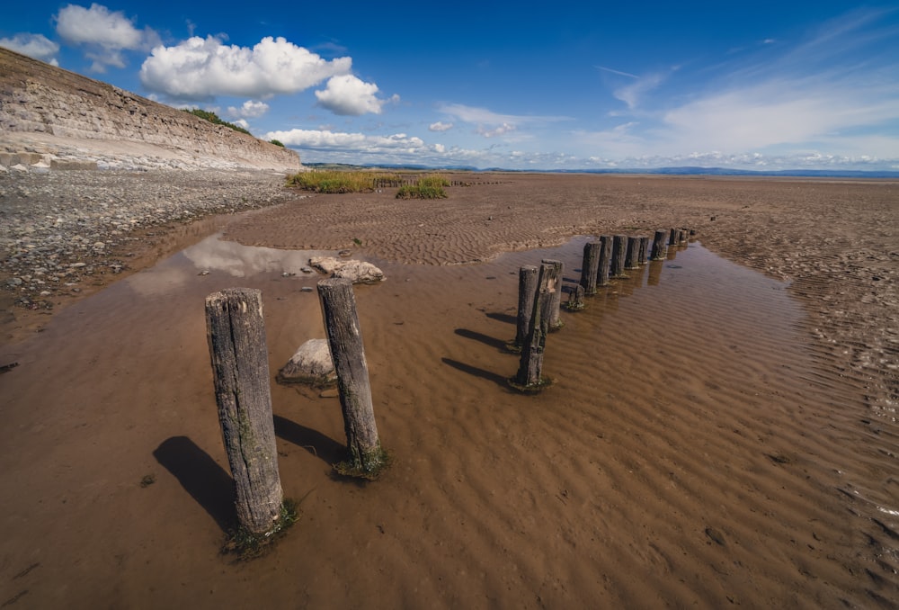 a sandy beach with wooden posts sticking out of the sand