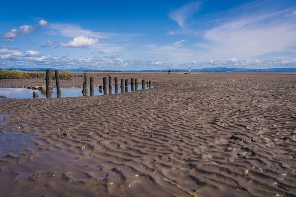 a sandy beach with wooden posts sticking out of the sand