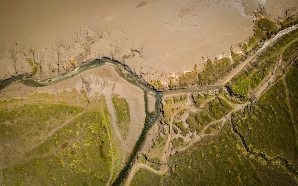 une rivière qui coule à travers une forêt verdoyante