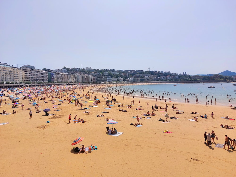 a large group of people on a beach