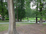 A vibrant urban park with mature trees and people enjoying the green space.