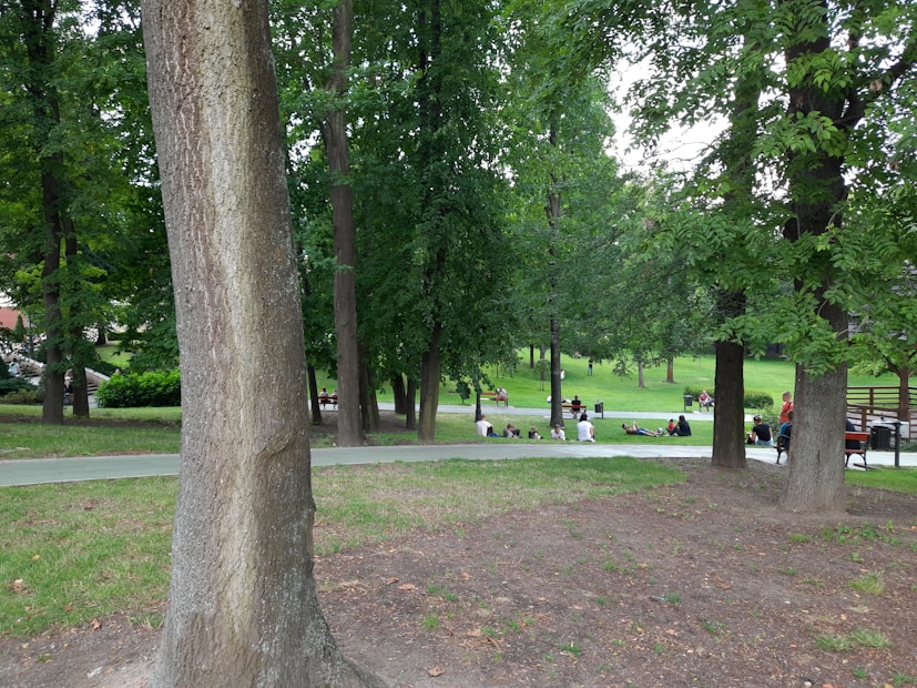A lush green park with tall trees and people relaxing on the grass. Some individuals are sitting on benches while others are lying down or walking along the pathways. The scene is peaceful and vibrant, capturing a leisurely outdoor setting.