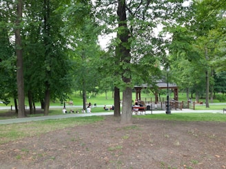 A lush green park setting with people sitting and socializing on benches and the grass. A wooden gazebo is visible in the background surrounded by mature trees. A walking path cuts through the scene and the area appears serene and quiet.