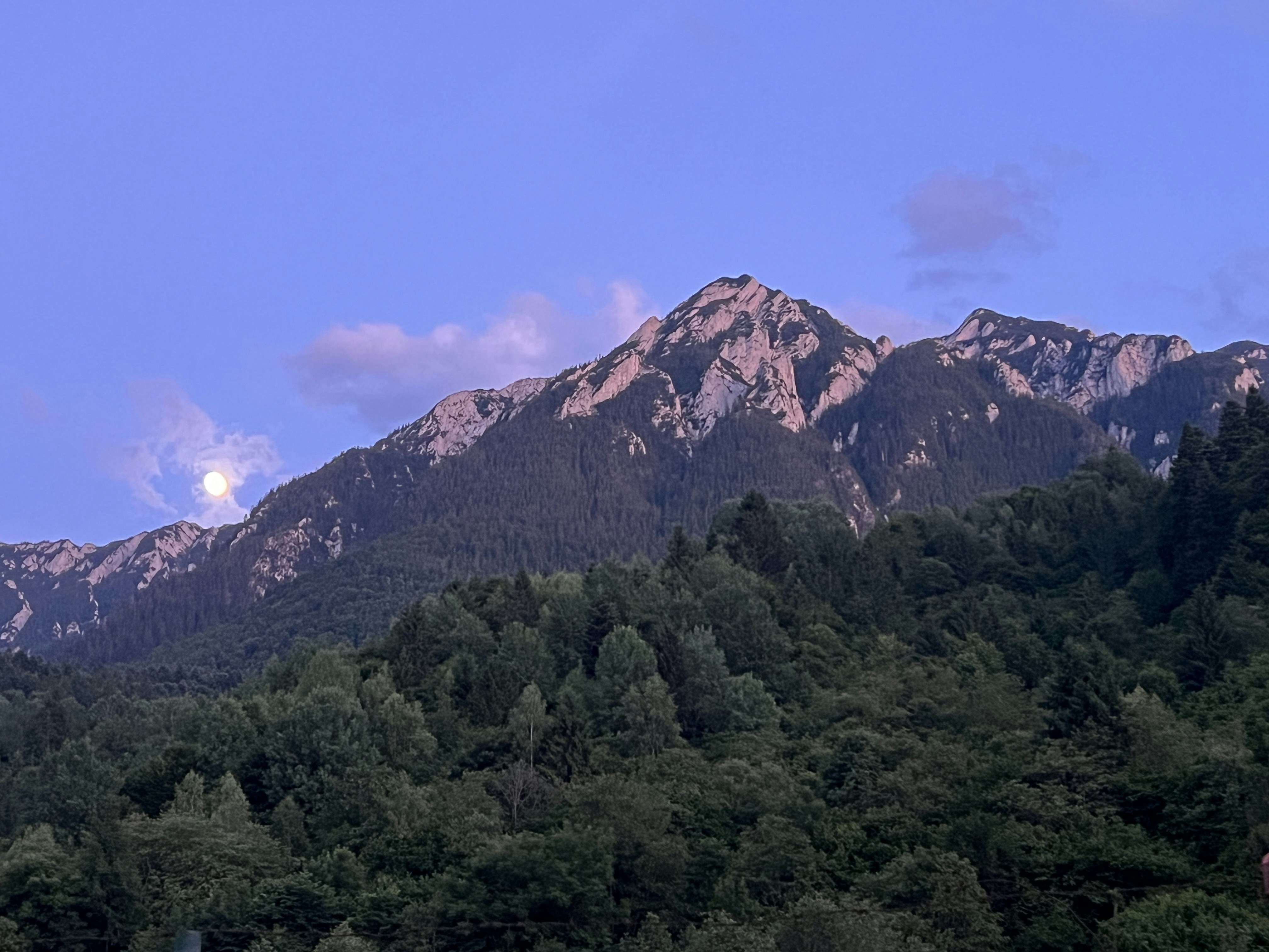 a view of a mountain range with trees in the foreground