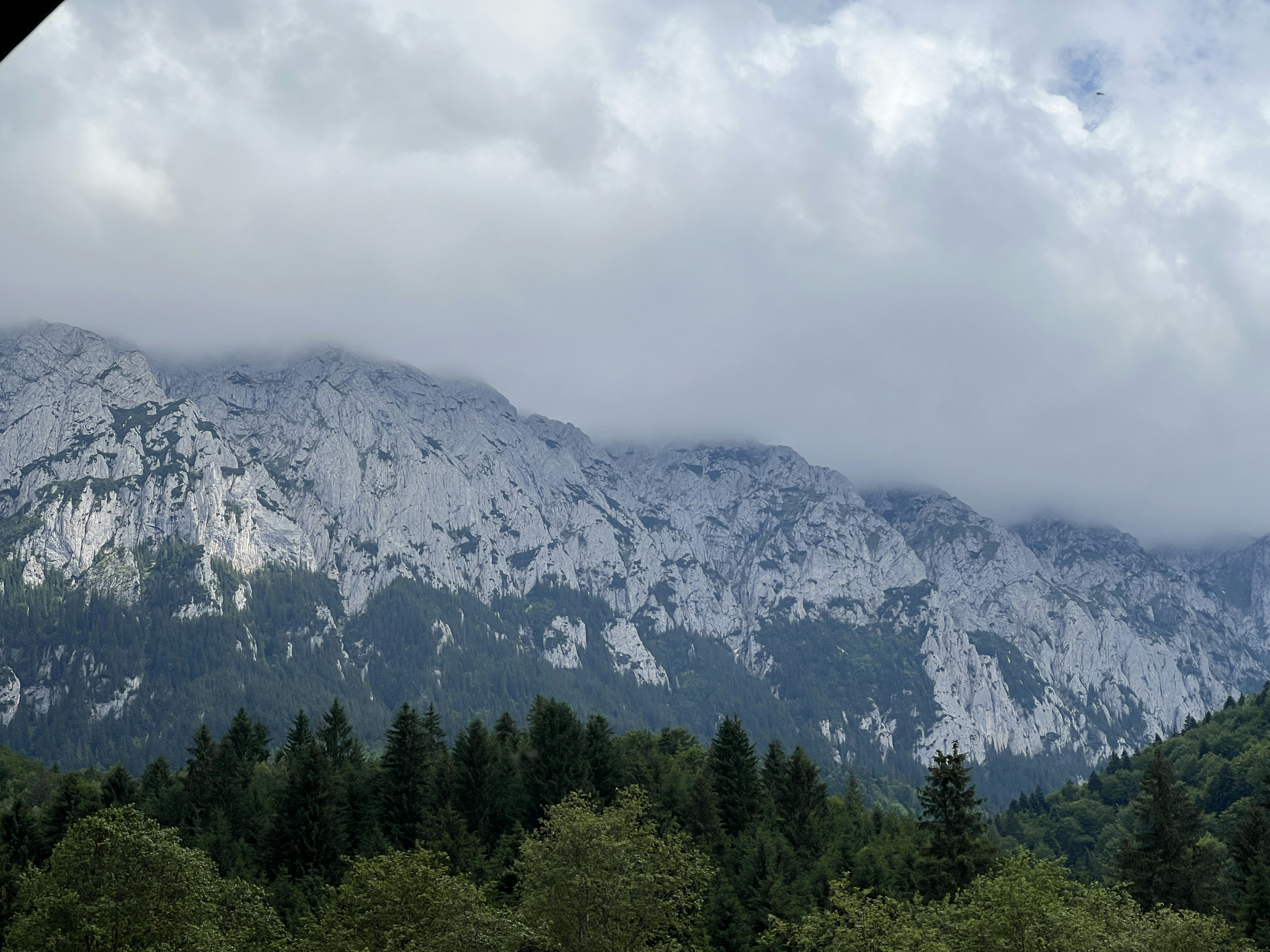 a view of a mountain range with trees in the foreground