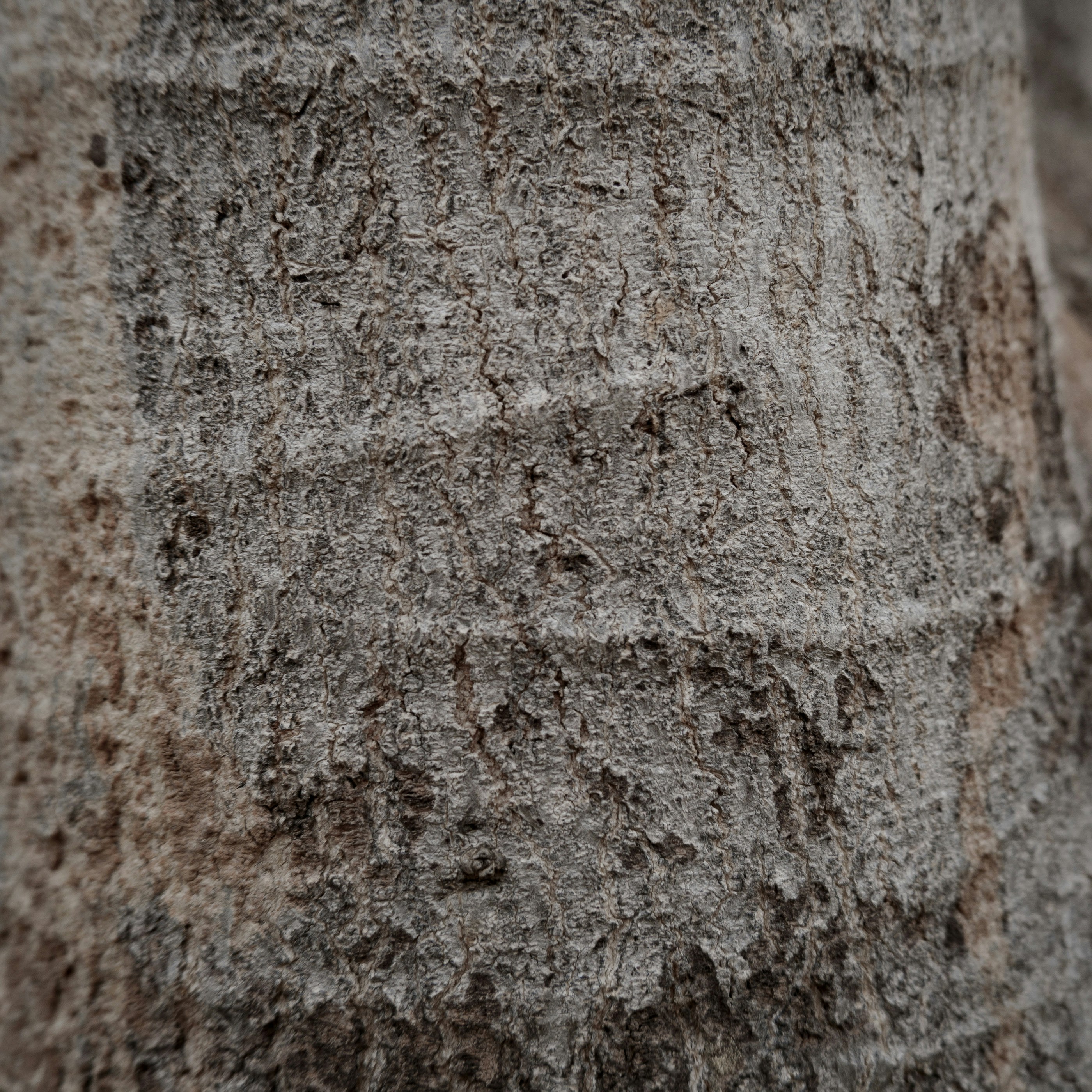 Photo by jaya14shukla