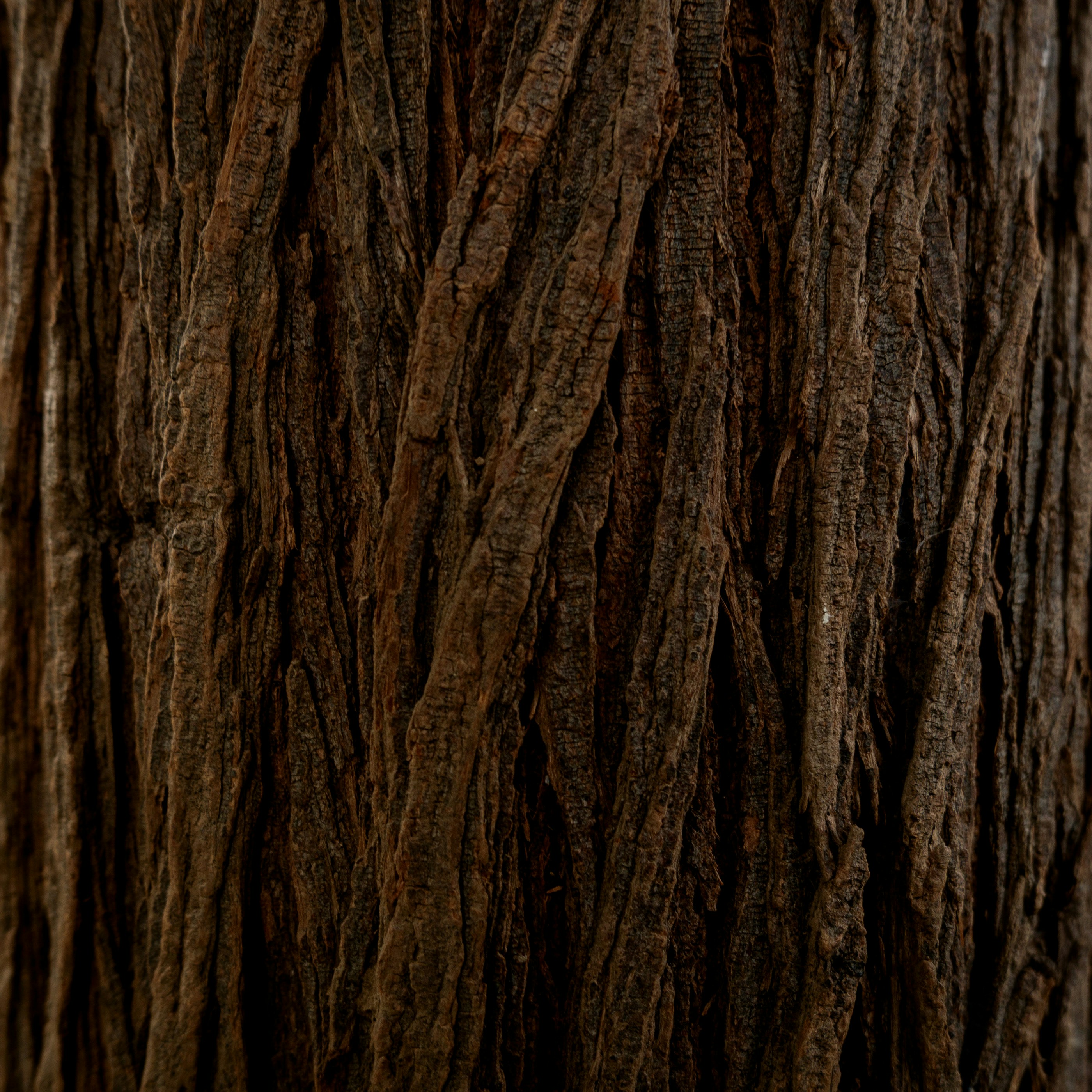 Photo by jaya14shukla