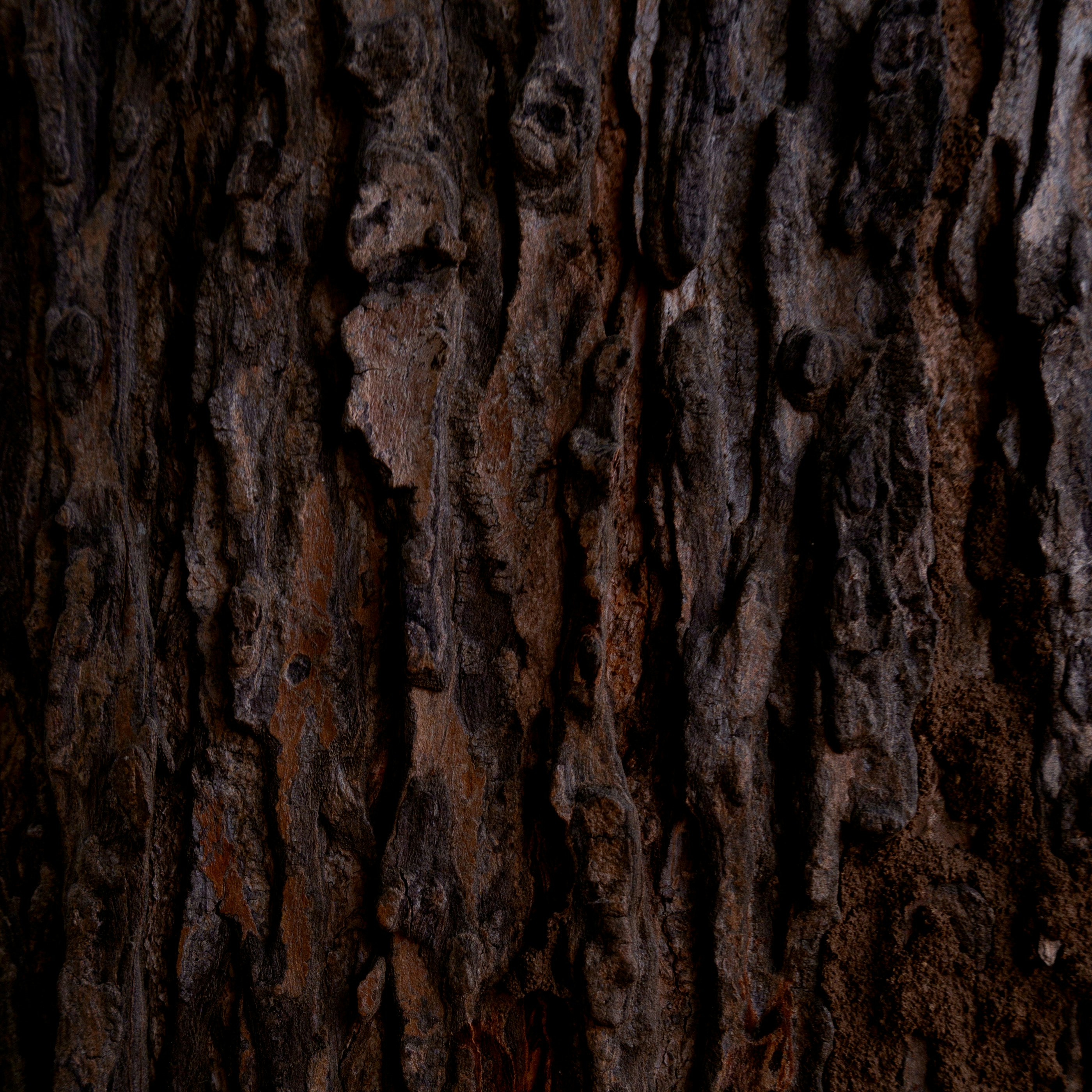 Photo by jaya14shukla