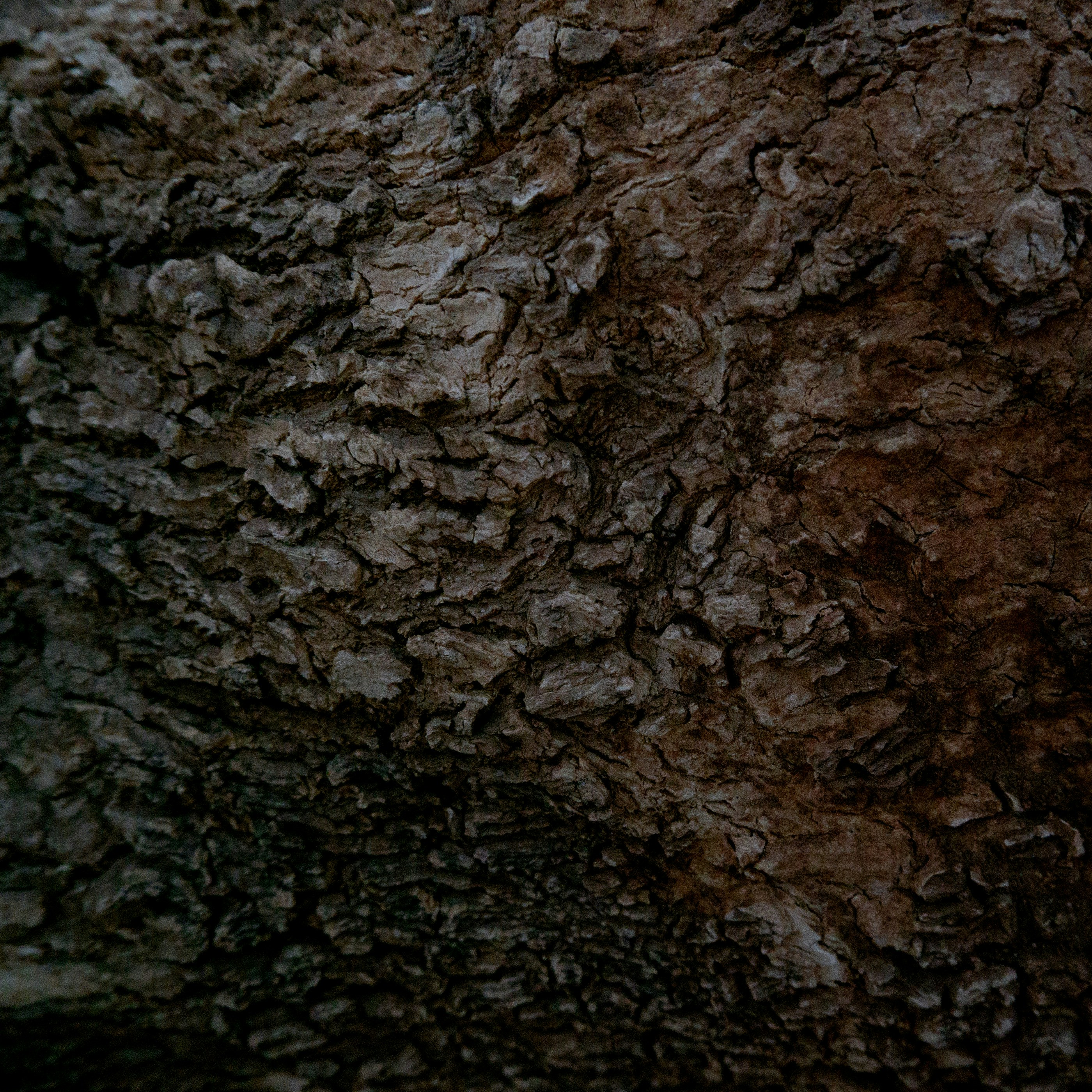 Photo by jaya14shukla