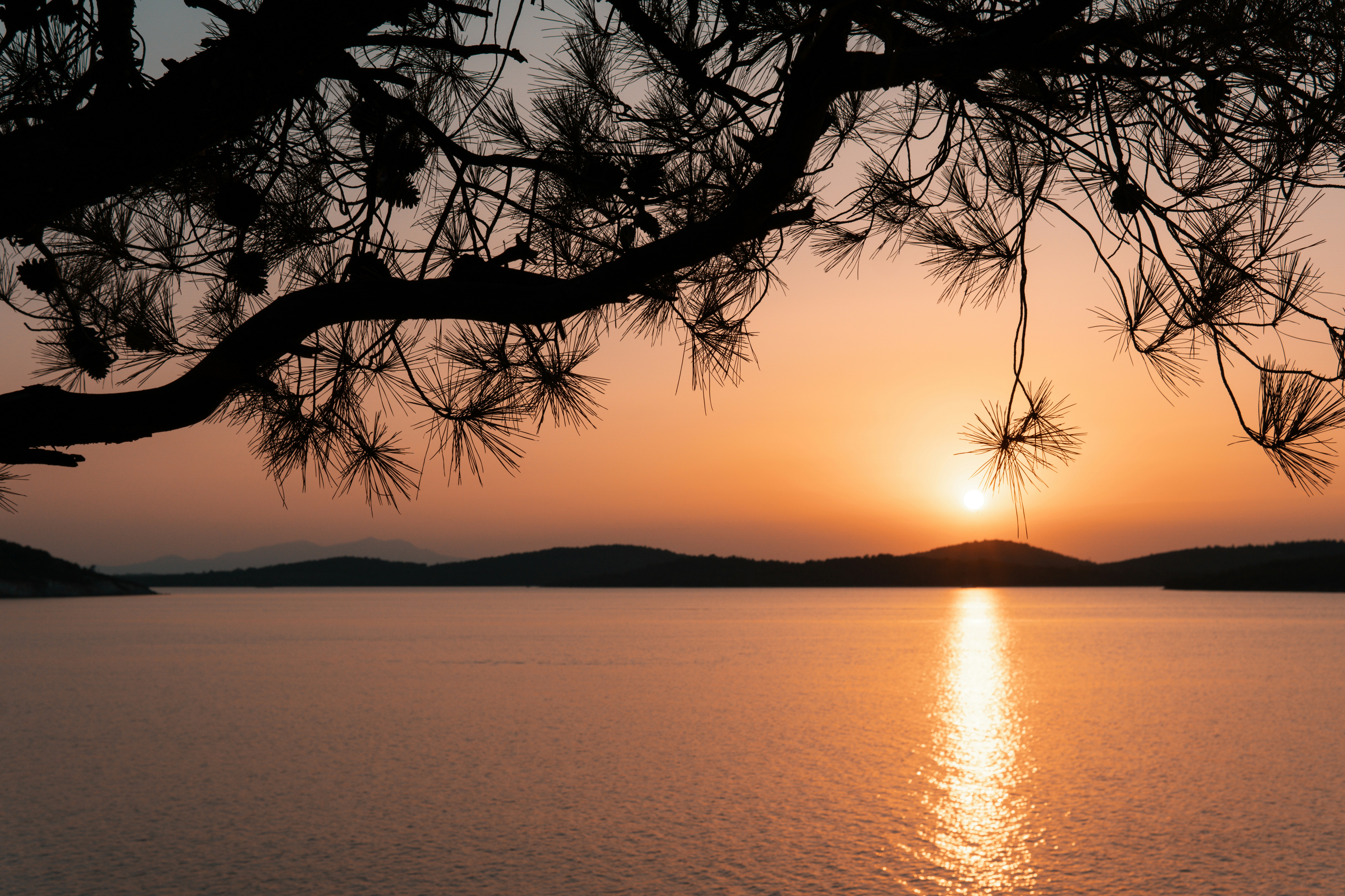 Photo by mertkahveci