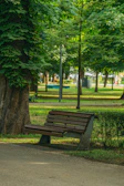 Urban park bench made from recycled plastic, surrounded by lush green plants and trees.
