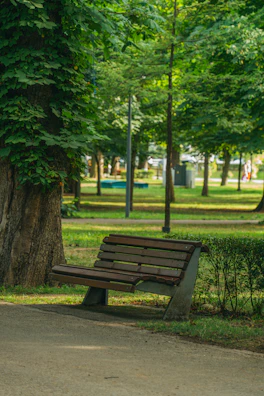 Urban park bench made from recycled plastic, surrounded by lush green plants and trees.