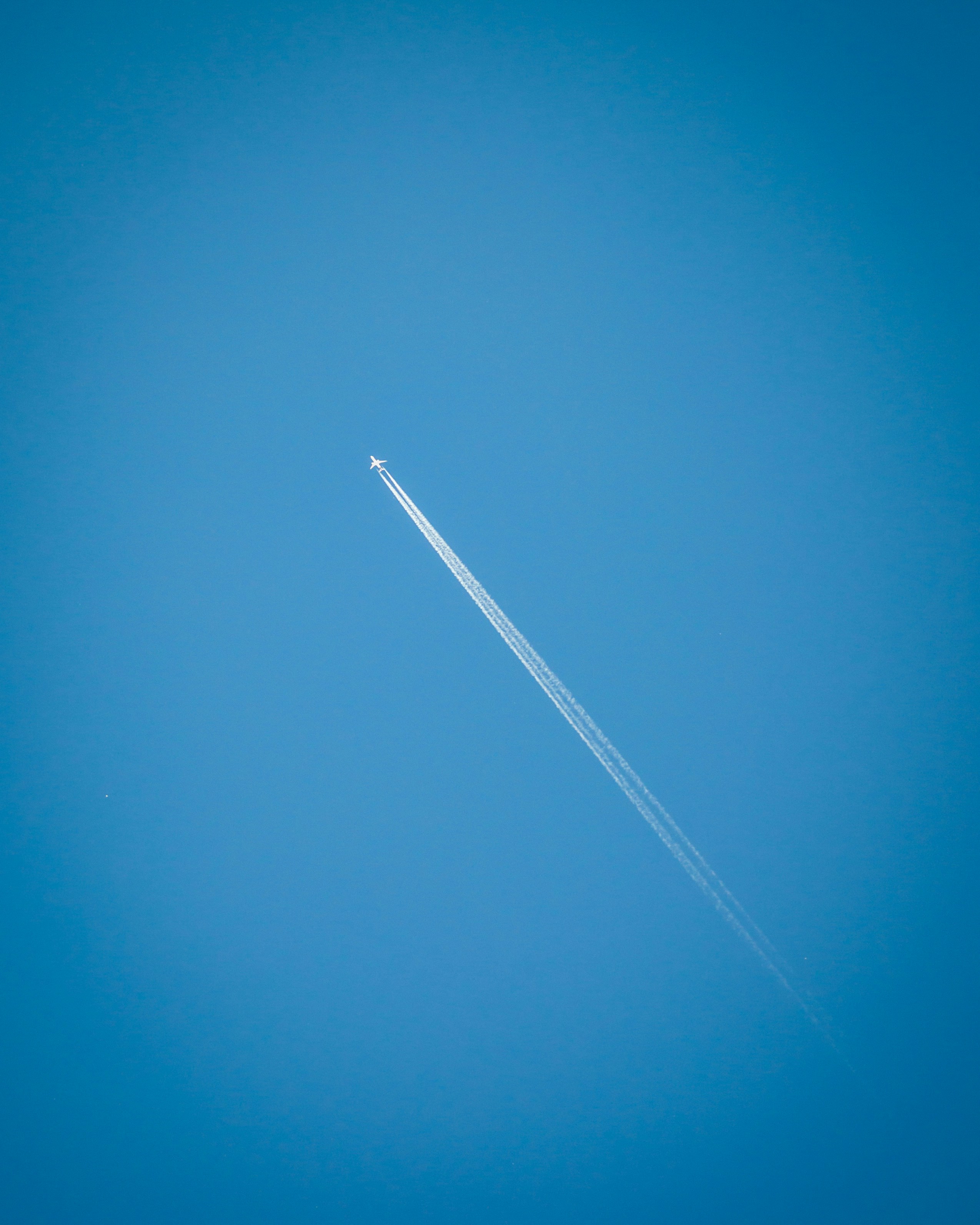 Photo by m_mohammadpour