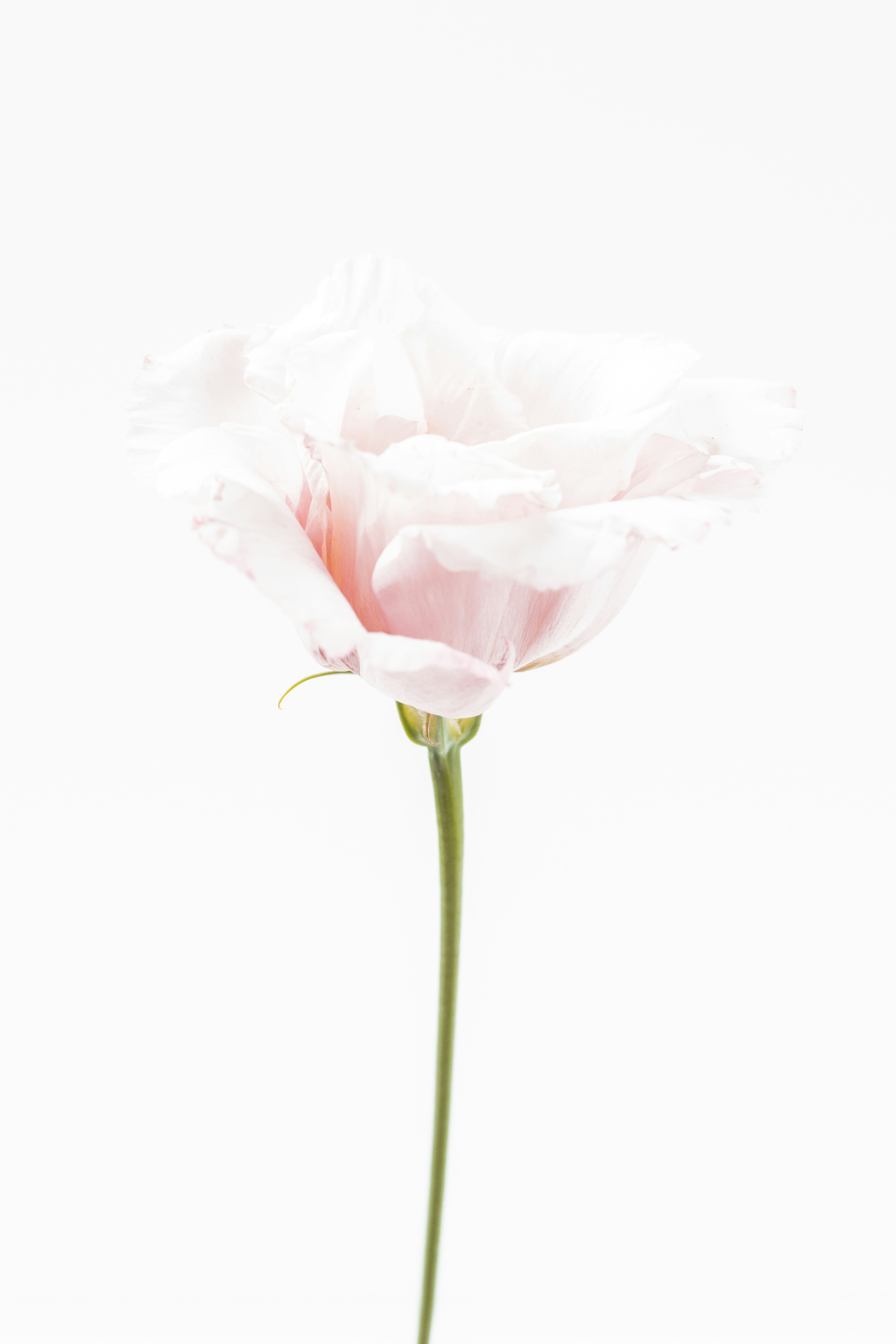 Photo by marianne_krohn