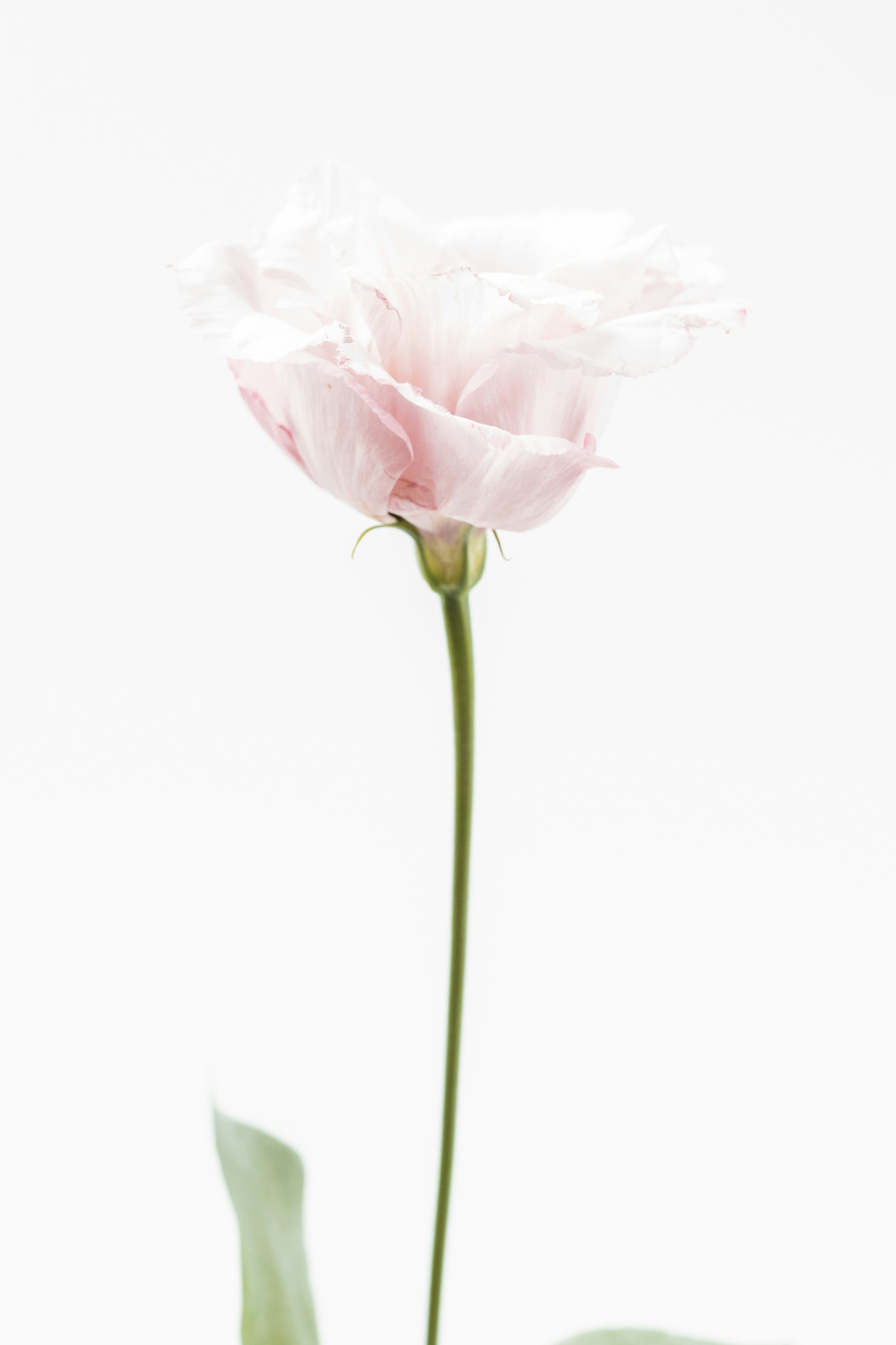 Photo by marianne_krohn