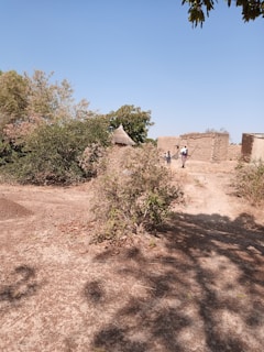 A rural landscape featuring traditional structures made of mud and straw in the background. There is a circular hut with a conical roof partially obscured by dense green and brown foliage. The ground is dry and covered with sparse vegetation. Two people are walking towards the structures under the clear blue sky.