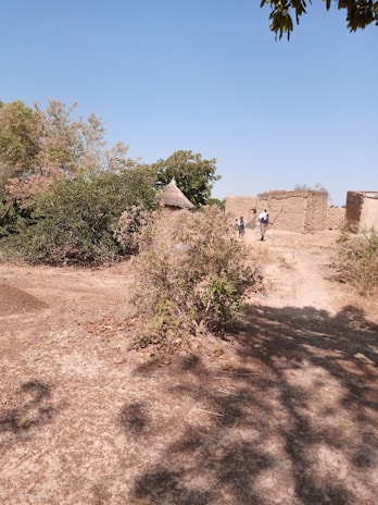 A rural landscape featuring traditional structures made of mud and straw in the background. There is a circular hut with a conical roof partially obscured by dense green and brown foliage. The ground is dry and covered with sparse vegetation. Two people are walking towards the structures under the clear blue sky.