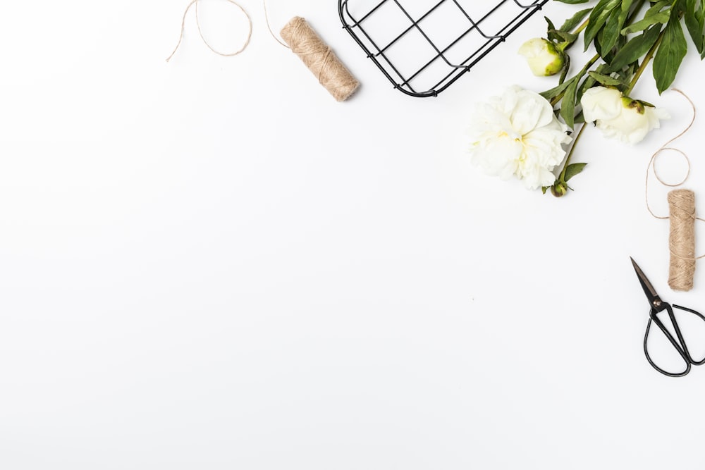 a bunch of flowers and some scissors on a white table