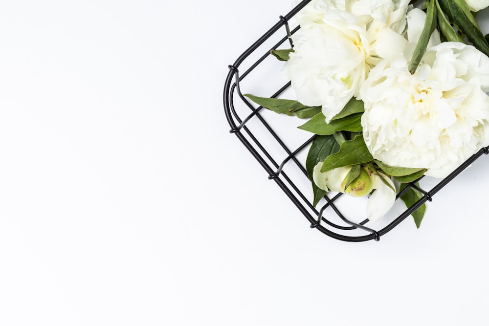white flowers in a wire basket on a white background