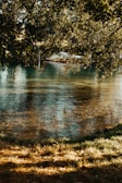 Sunlight filtering through trees onto a quiet dock with moored small boats.