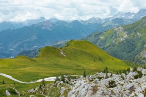 a view of a valley with mountains in the background