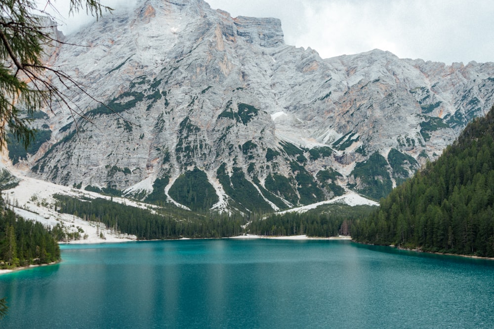 um lago de montanha cercado por pinheiros e neve