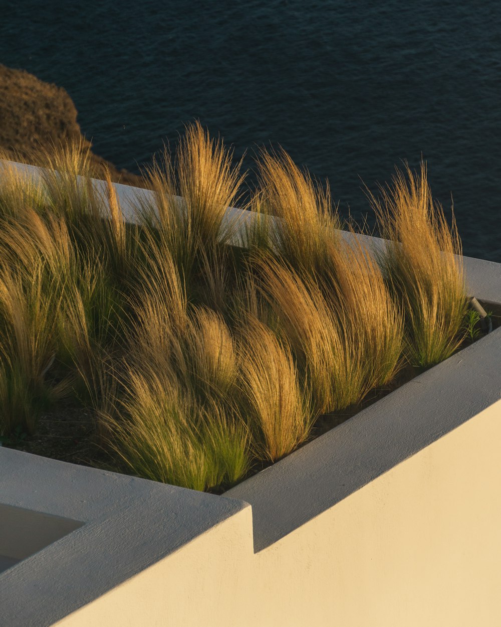 a planter filled with grass next to a body of water