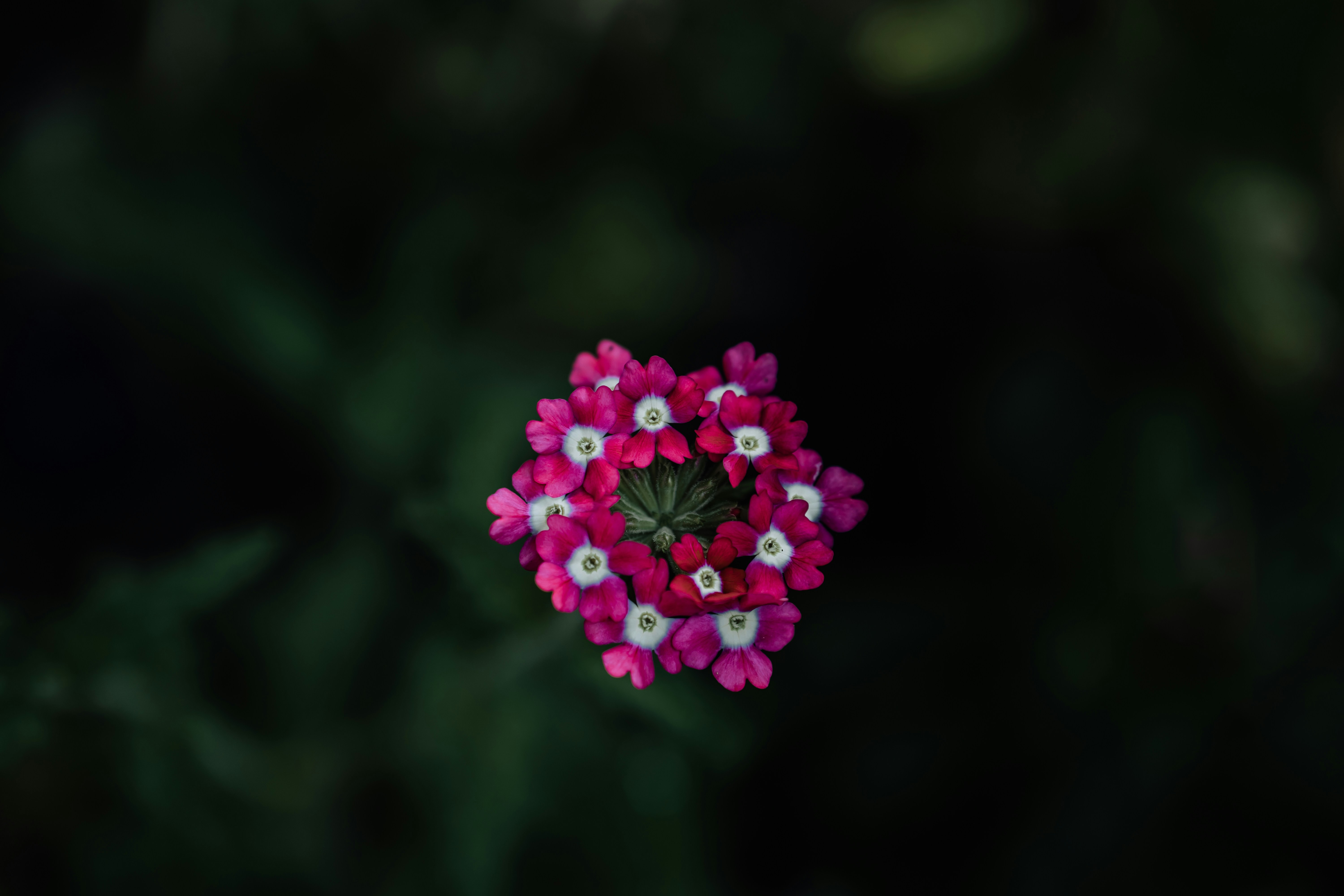 Photo by khodzinskyi