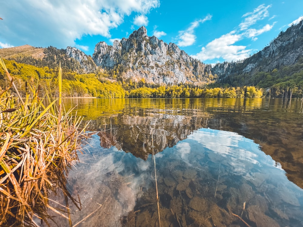 a body of water surrounded by mountains and trees