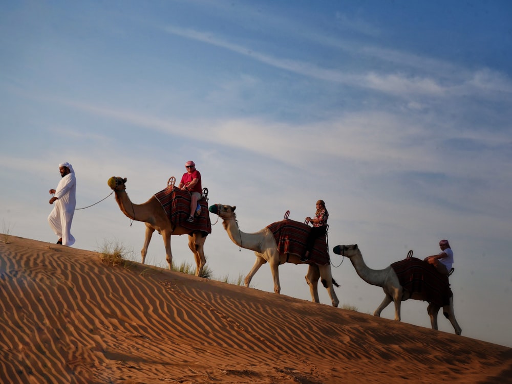 a group of people riding on the backs of three camels