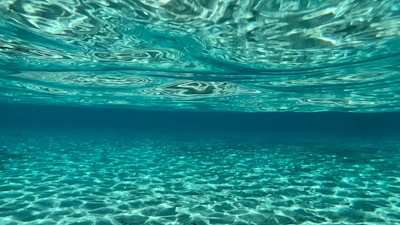 Side scan sonar equipment deployed from a boat, capturing detailed seabed textures beneath calm blue waters.