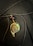 A pendant with an artistic design depicting a face, featuring various colors such as green, brown, and gold. The pendant hangs from a black cord alongside a glossy black bead, set against a dark textured background.