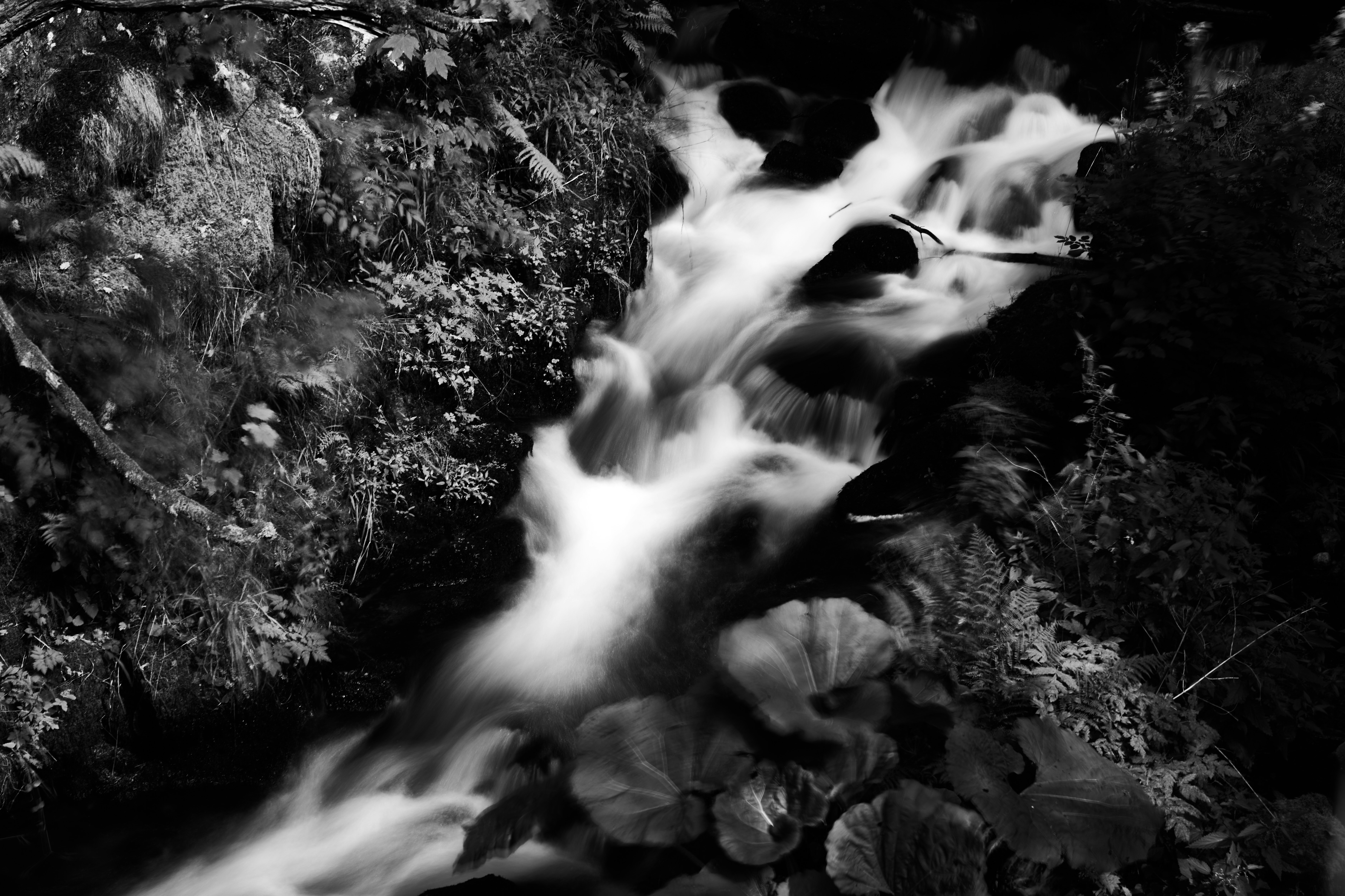 Photo by wolfgang_hasselmann
