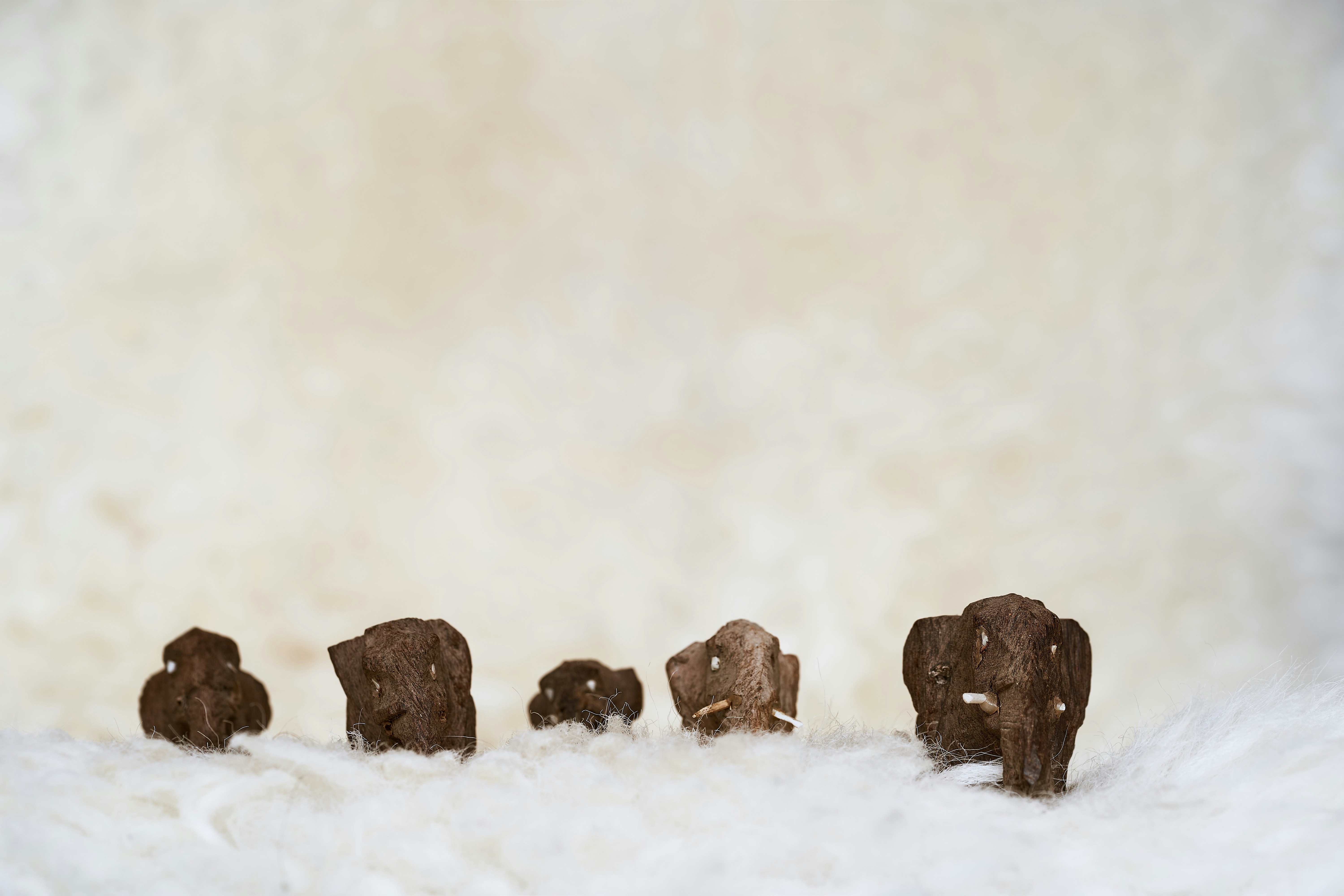 Photo by wolfgang_hasselmann