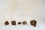 Five small, textured, brown objects resembling elephant figurines are placed on a fluffy white surface with a softly blurred, neutral-colored background.