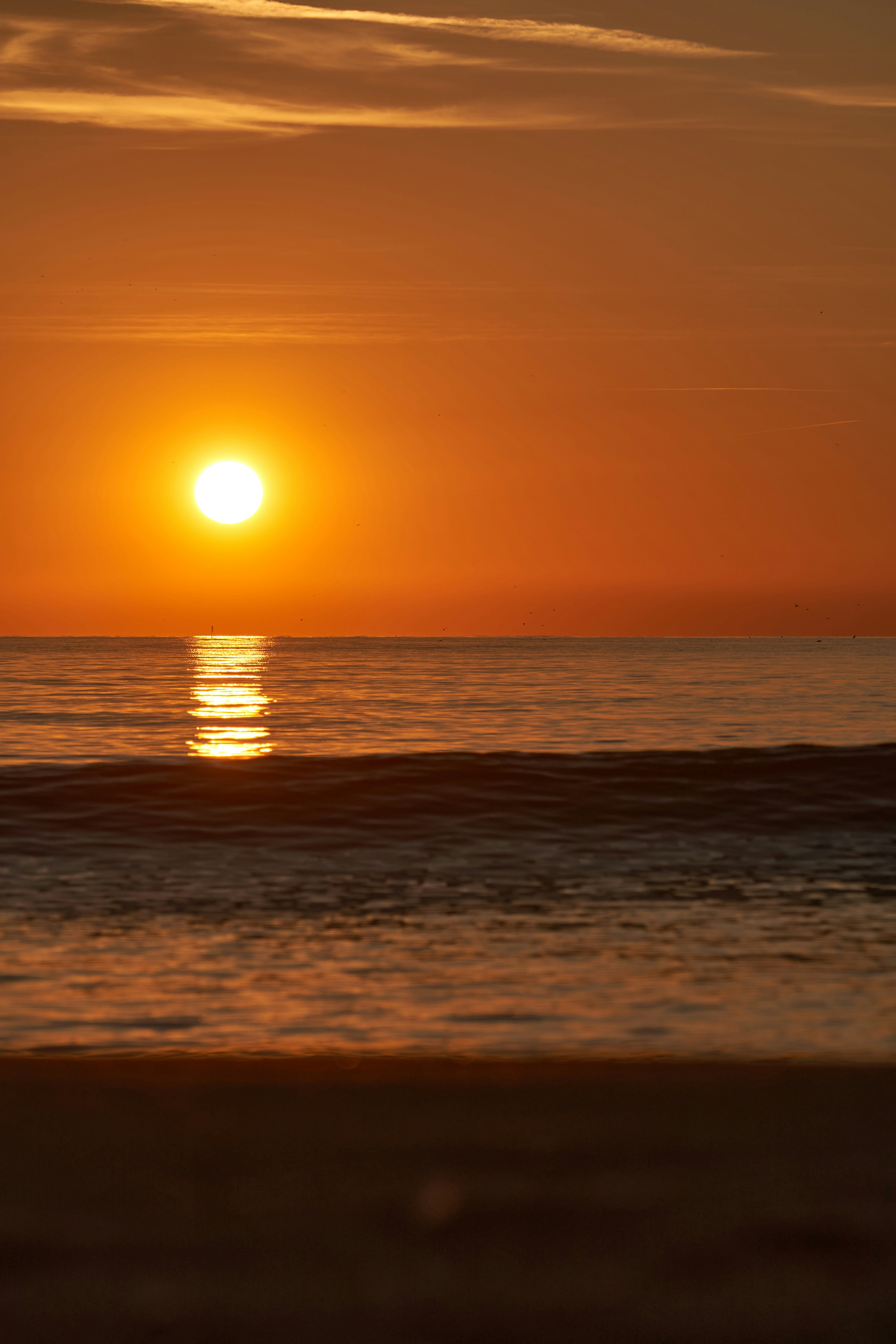 Photo by wolfgang_hasselmann