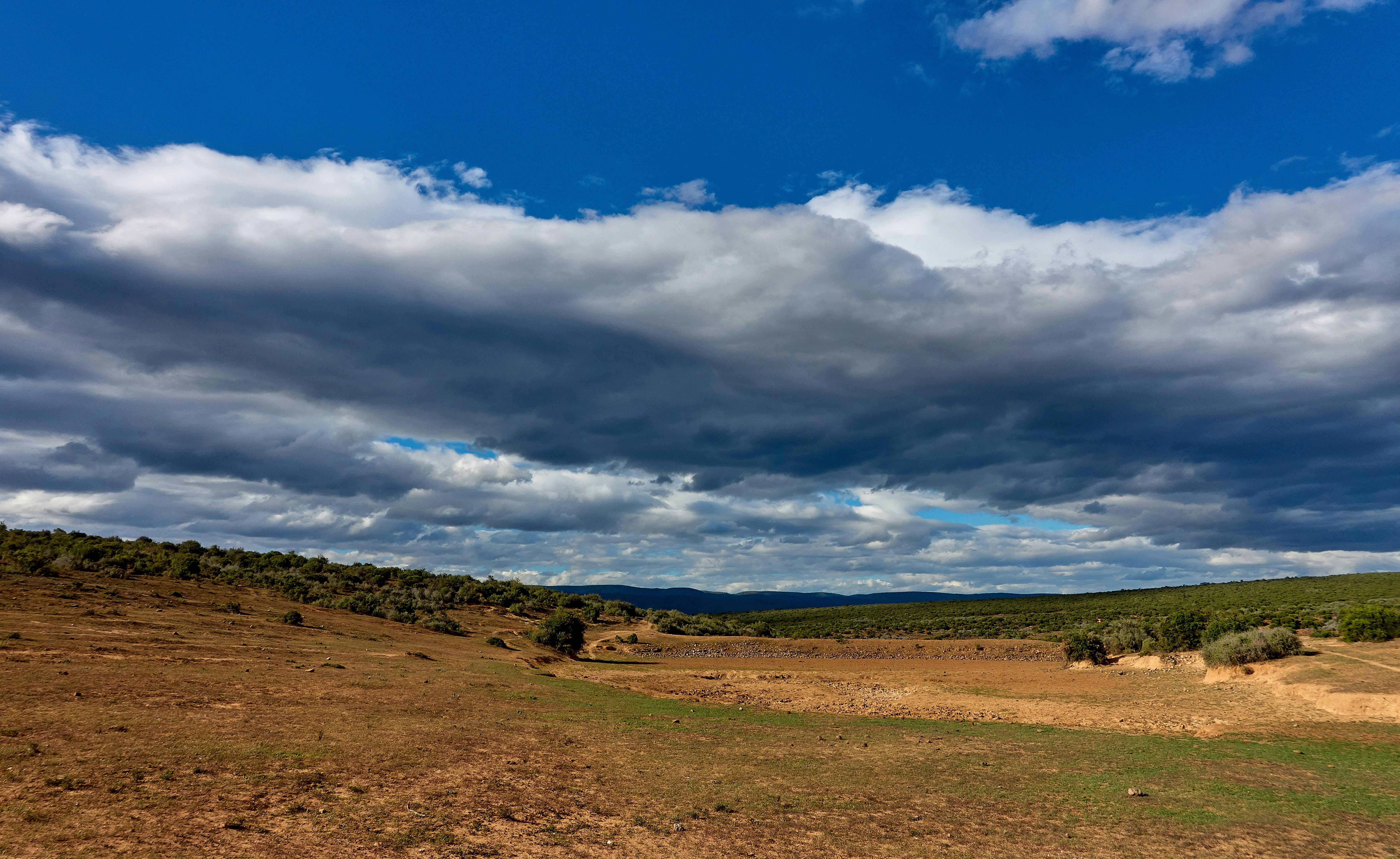 Photo by wolfgang_hasselmann