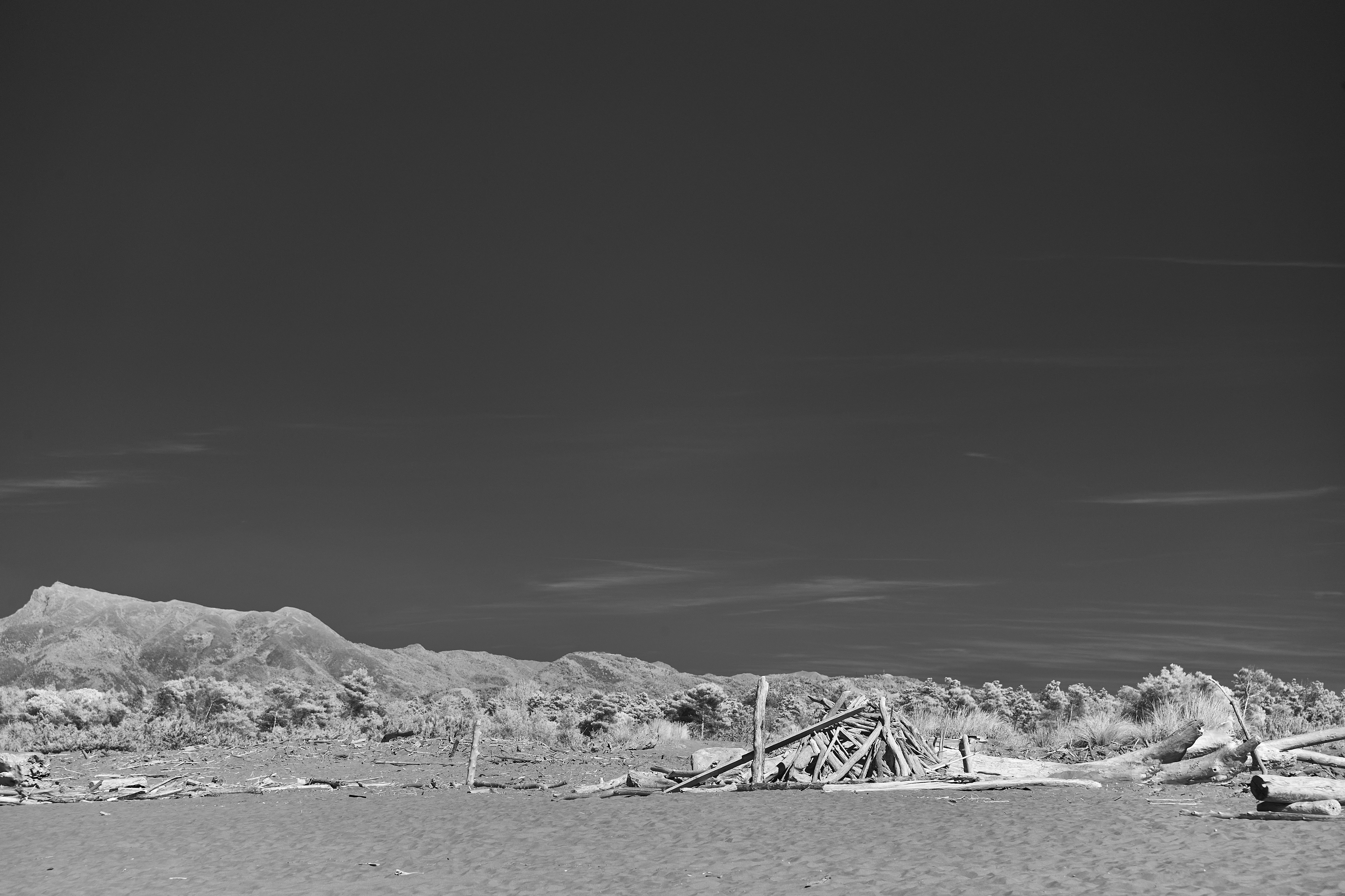 Photo by wolfgang_hasselmann