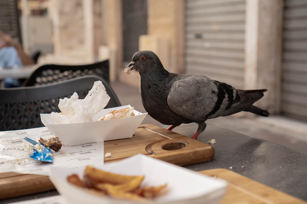 a pigeon sitting on a table next to a bowl of food