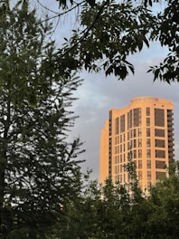 Modern urban building featuring muted green facades and beige stone textures surrounded by greenery.