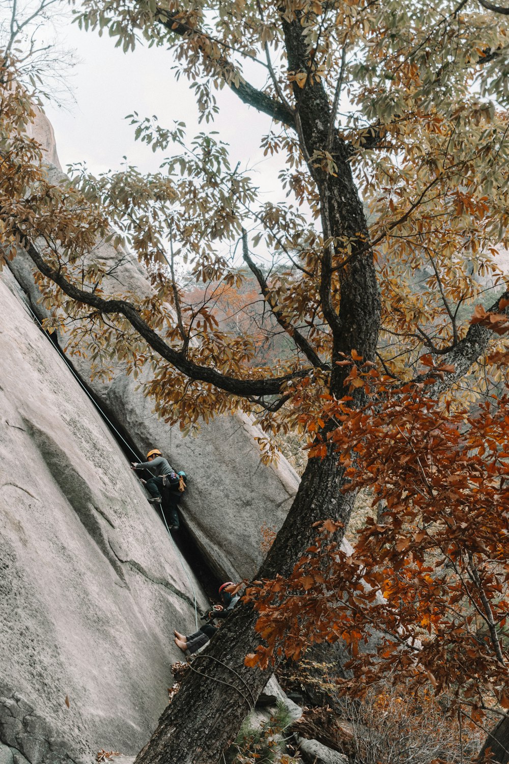 a man climbing up the side of a large rock