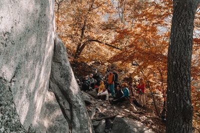 A small group practicing first aid bandaging techniques outdoors among pine trees and rocky terrain.