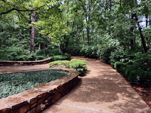 A serene garden path lined with lush greenery.