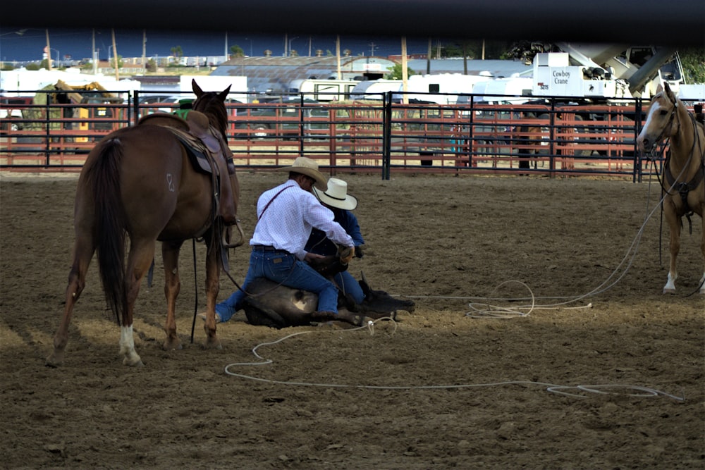 a man sitting on the ground next to a horse