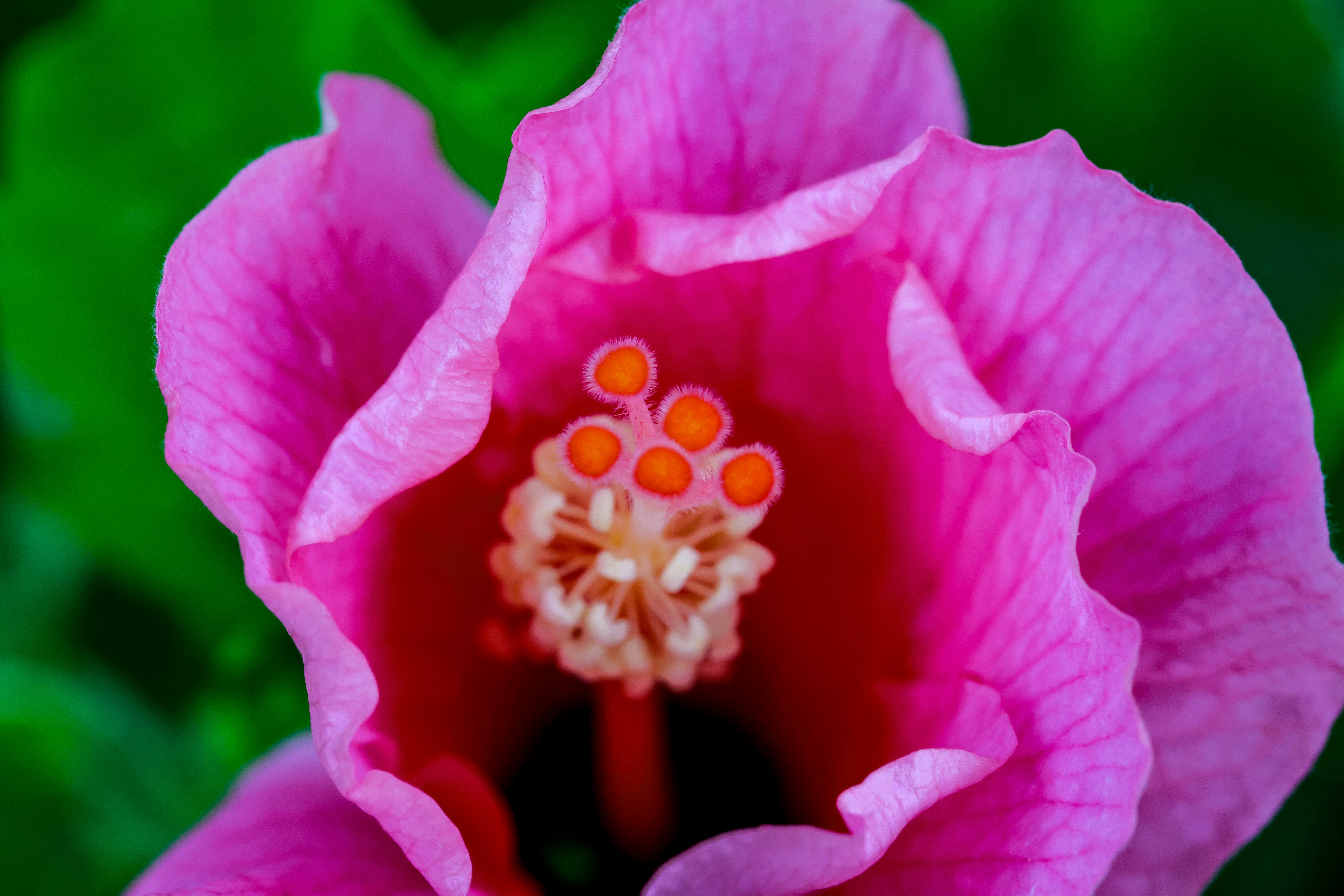 Photo by dickenslin76